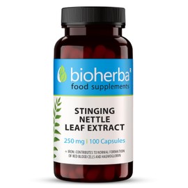 Stinging Nettle Leaf Extract 250 mg – 100 Capsules | Traditional Herbal Supplement for Water Balance and Daily Wellbeing