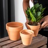 OLEEP Clay Pots - 10 Pack (5.5 inch) Large Terra