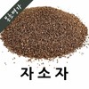 본초명가 중국산 자소자 600g 1개 Bongcho Myungga Chinese Perilla Seeds 600g 1 unit