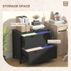 2 Drawer Black File Cabinet Adjustable Hanging Bar for Letter