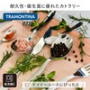 Tramontina 66902/071 Teaspoon, Malaysia, 5.1 inches (13 cm), Set of