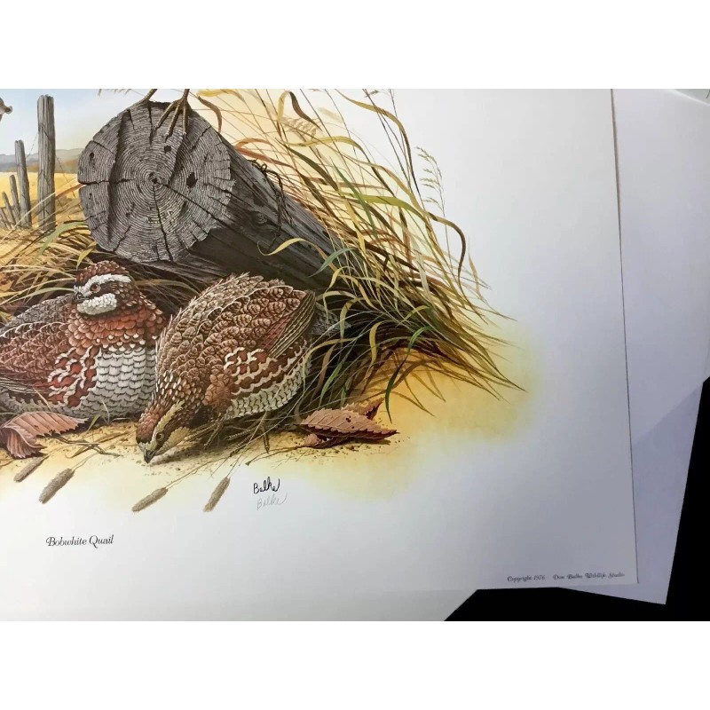 Don Balke BOBWHITE QUAIL (Masterpiece-1