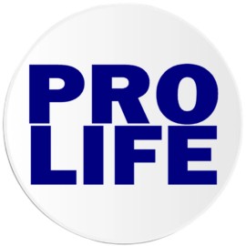 Kiwi Gifts Pro Life - 3 Pack Circle Stickers 3 Inch - Abortion Slogan Political Protest