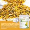 Dandelion Leaf & Root Tea Bags Organic, Roasted Dandelion Root