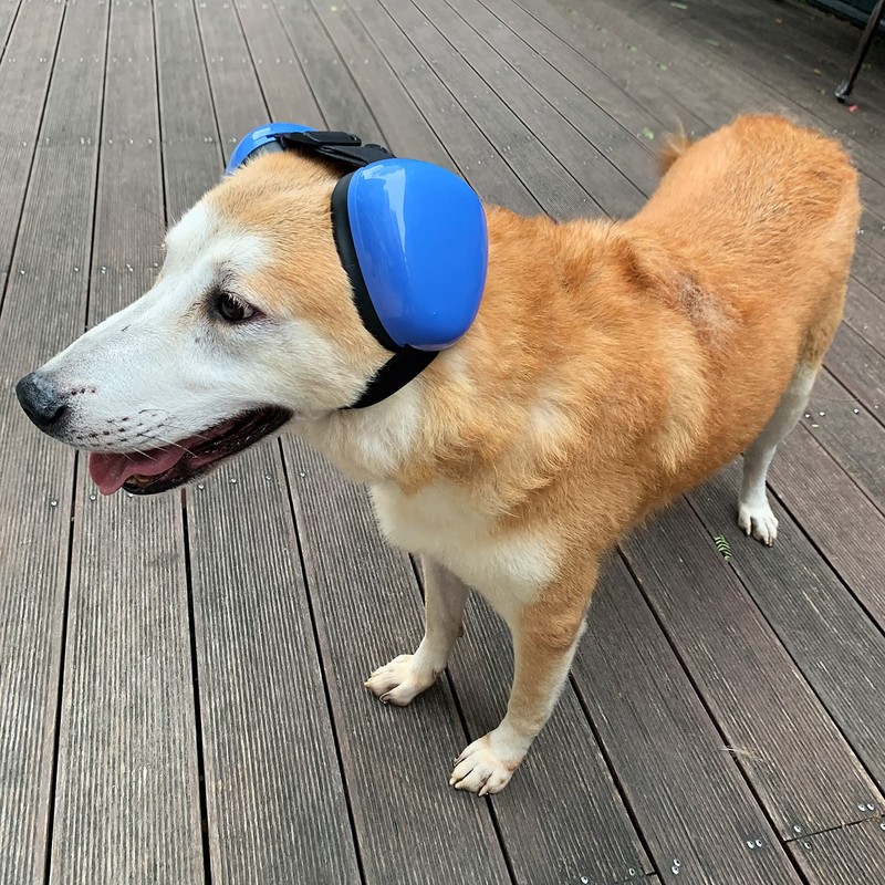 derYEP DHP03 - Orejeras para Perro para protección auditiva de
