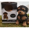 Pet Pals Black and Tan Cavapoo | Resin Home or