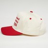 Two Tone Vintage Snapback Hat - Undiagnosed But Something Ain't