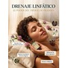 Mayaverra Drenaje Linfático, Mayaverra Gotas Drenaje Linfático-Gotas Naturales，2 Bottle