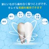 Watles 歯石除去キット 歯石取り スケーラー 歯石取り器具 歯用ツール [一般医療機器]