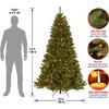 National Tree Company Pre-Lit Artificial Slim Christmas Tree, Green, North