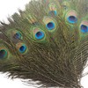 Piokio 100 pcs Natural Peacock Feathers in Bulk 16-18 inch(40-45