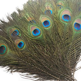 Piokio 100 pcs Natural Peacock Feathers in Bulk 16-18 inch(40-45 cm) for Wedding Crafts Christmas Decorations