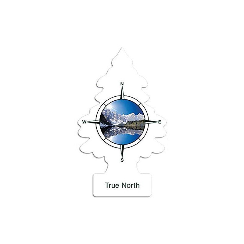 LITTLE TREES CAR FRESHNER U1P17146 Little Trees Air Fresheners, True