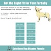 CuteBone - Pañales lavables para perros (3 unidades) para perros