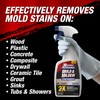30 SECONDS Pro Mold and Mildew Stain Remover | Scrub