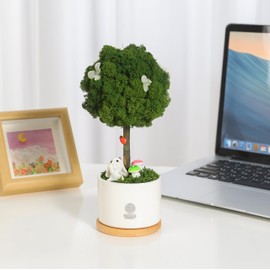 Mossever 100% Natural Colored Potted Preserved Plant Moss Deodorizer-Great Premium Home Decor Art for Bedroom & Living Room-Eco-friendly Humidifier & Air Cleanser-No Maintenance Needed (Olive Green)