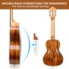 Hricane Professional Concert Ukulele 23 Inch for Adults, Koa Acacia