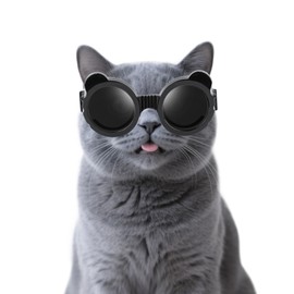 Enjoying Cat Goggles, Cat Sunglasses UV Protection, Pet Goggles for Cats XS to Small Dogs, Outdoor Kitty Puppy Eye Protection, Adjustable Straps, Black