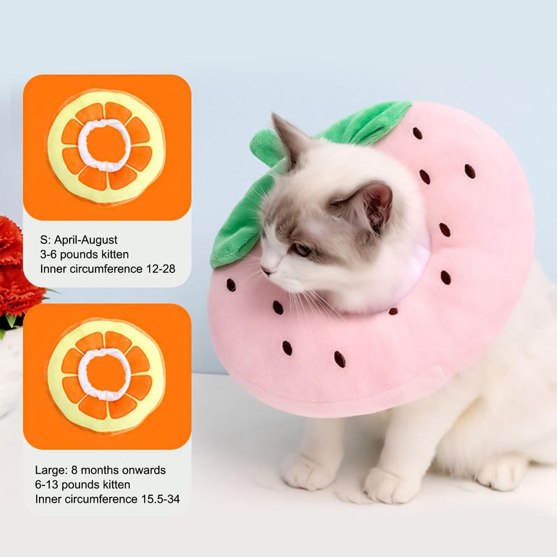Amexo Cat Collar, Adjustable Cat Collar for Use in Cats