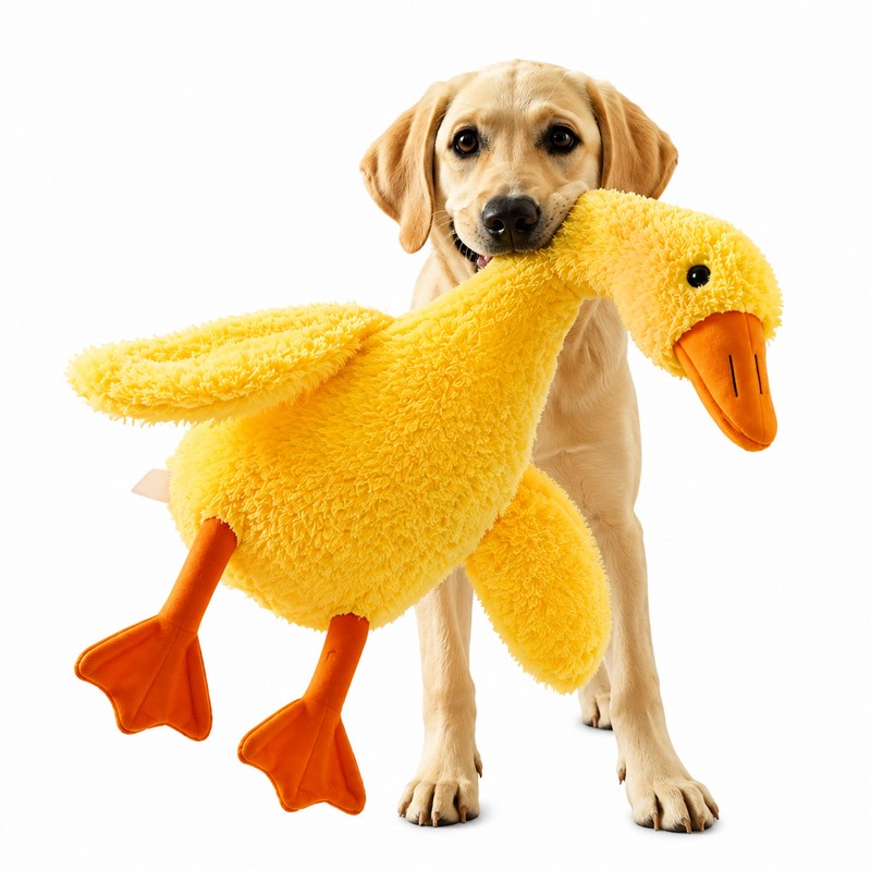 2 Pcs Cute Duck Plush Pet Toy for Dogs &