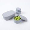 BLUE GINKGO Nesting Silicone Containers - Set of 3 Hard-Shell