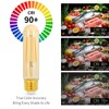 Decoaui E26 T10 LED Light Bulbs, 5 Inch Vintage Tubular