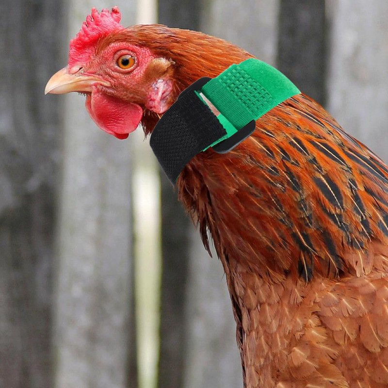POPETPOP 2pcs Rooster Collar, No Crow Adjustable Chicken Collar, Anti