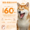 LOOBANI Washable Pet Sheets, Super Absorbent, Pet Mat, Waterproof, Anti-Slip,