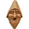 Red Carpet Studios Outdoor Tree Face Birdhouse, 13.5", Harry