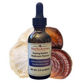 Evening Routine Mushroom Tincture, High Potency, Double Extracted, 60 Daily Doses, Reishi and Lion's Mane