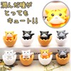 clowin Kitten Figurines Set of 4 Cat Figurines Miscellaneous Goods