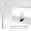 ASD 4 Light 24 Inch LED Bathroom Vanity Light -