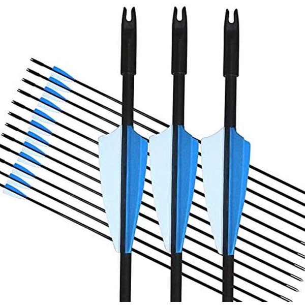 GPP Archery Beginner's First Arrows (30" Fiberglass Target Archery Arrows) - 12 Pack,Blue