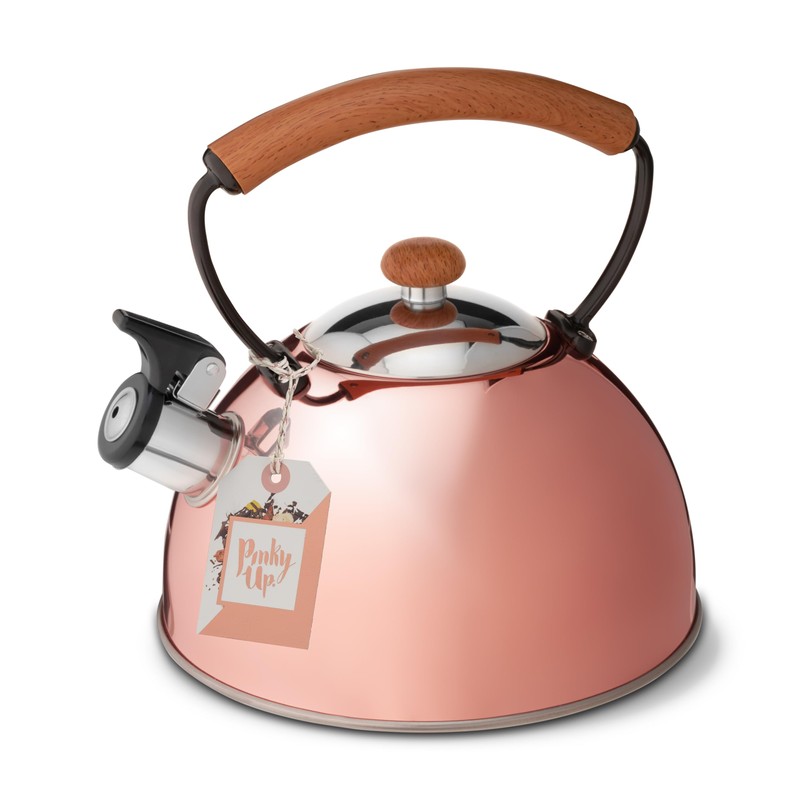 Pinky Up Hadley Stainless Steel Tea Kettle for Stovetop, Whistling
