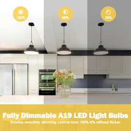 Maylaywood A19 LED Light Bulb, 60 Watt Equivalent LED Bulbs, 3000K Soft White, 900LM, E26 Base, Dimmable, 9W Bright White, 4-Pack