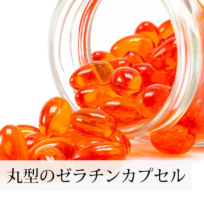 自然健康社 レシチン E球 90g×3個 大豆レシチン サプリ ビタミンE 小麦胚芽油 カプセル