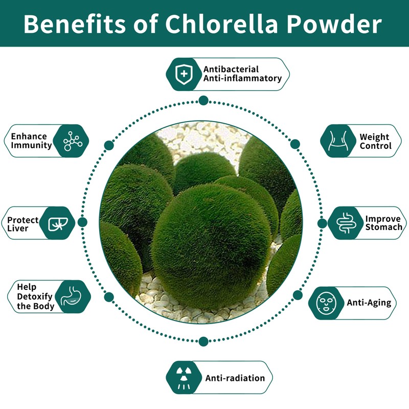 Chlorella Powder Natural with 16 oz - Chlorophyll Powder, Supports