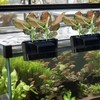 2 PCS Aquarium Plant Holder Top Hanging Fish Tank Plant