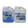 Engine Ice Flush and Clean and Motorcycle Combo Kit, 2