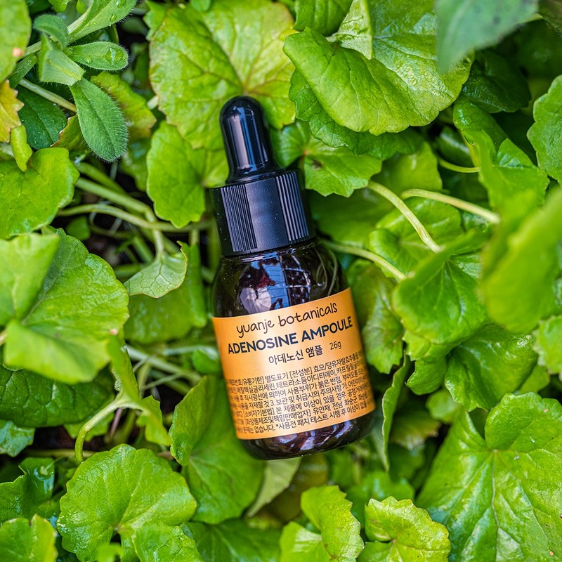 Yuanjae Adenosine Concentrate Ampoule 26g Unscented / 유안재 아데노신 원액