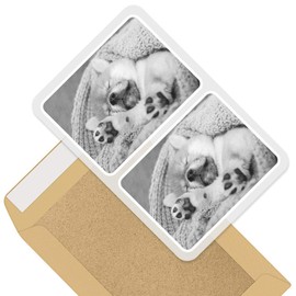 Rectangle Stickers (Set of 2) 10cm - Sleepy Shiba Inu Puppy Dog Fun Decals for Laptops,Tablets,Luggage,Scrap Booking,Fridges, 38651