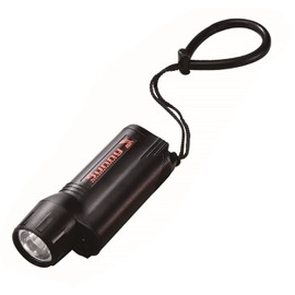 Dolphin Tech by IST 220 Lumens Back Up LED Torch (Black)