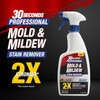 30 SECONDS Pro Mold and Mildew Stain Remover | Scrub