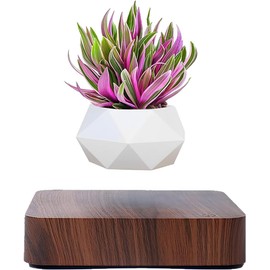 Babook Levitating Air Bonsai Pot,Cool Stuff, Rotation Flower Pot Planters, Potted Plant Home Desk Decor in Flower Pots & Planters from Home & Garden on (Dark Color)