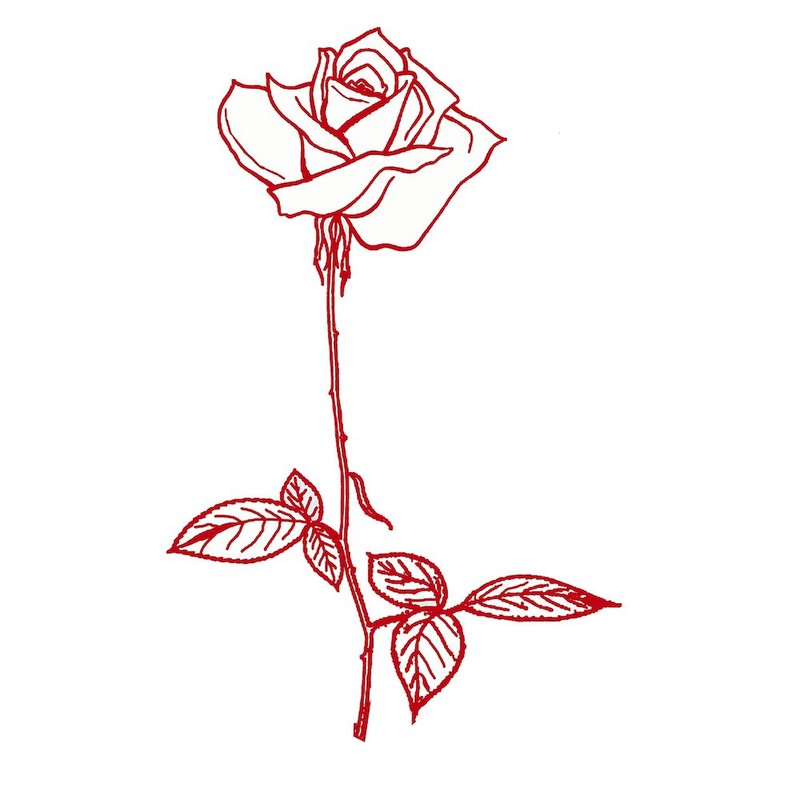 CafePress Long Stem Rose Rectangle Bumper Sticker Car Decal