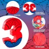 Spider Web Number 3 Pinata,Stick,Blindfold and Confetti Set,Spider Web Birthday