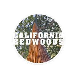 Die Cut Sticker California Redwoods, Looking Up Tree, Contour Vinyl Sticker 1 to 3 inches (Waterproof Decal for Cars, Water Bottles, Laptops, Coolers), Small