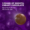Madelaine Chocolate Premium Milk Chocolate World Globe Balls - 1