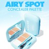 AMUSE Airy Spot Concealer Palette 3g
