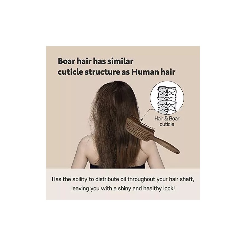 Mother's Corn Cepillo De Pelo De Cerdas De Jabalí Yao,